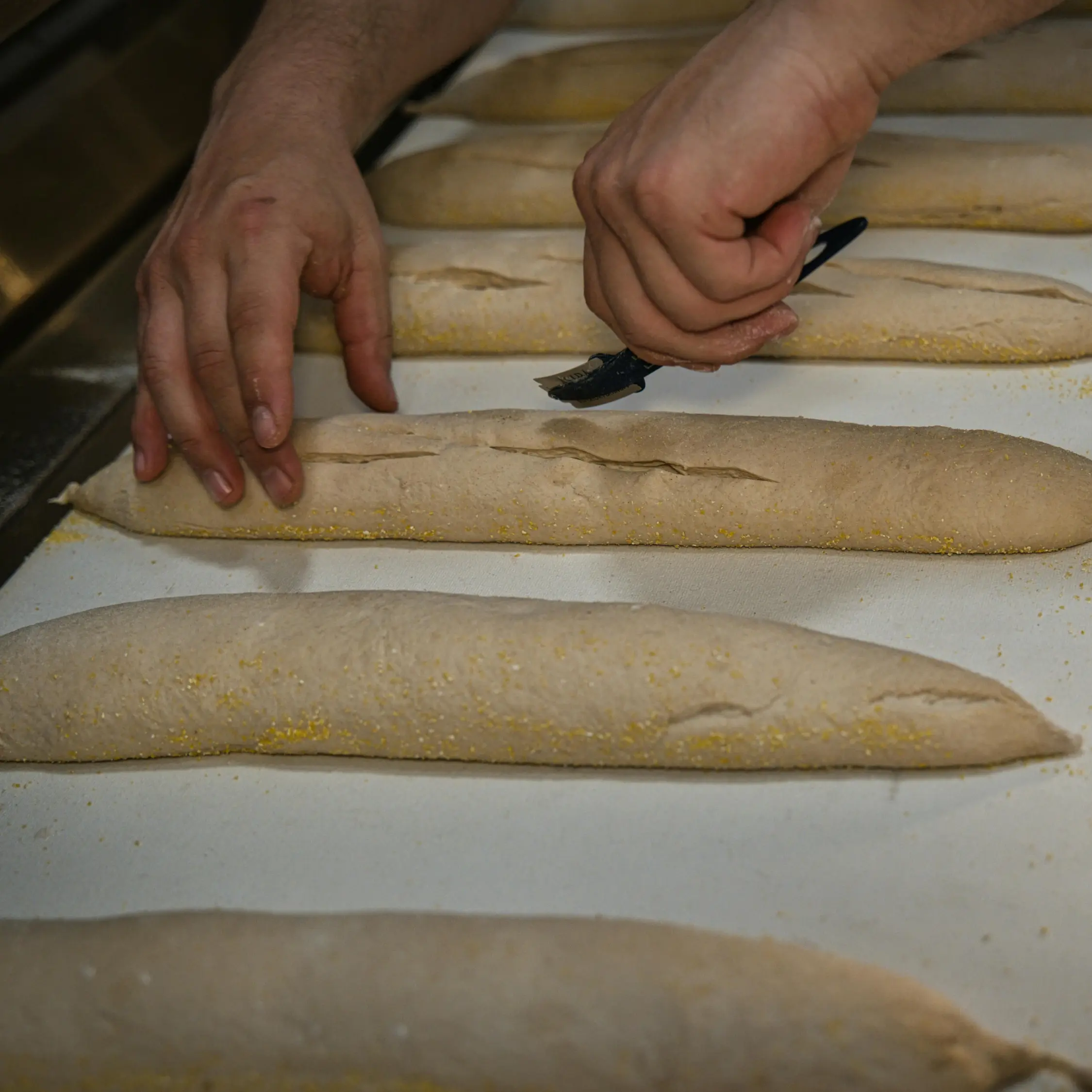 Baker hand-scoring fresh baguette dough before baking at Vonado Korean Bakery in Hanoi